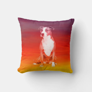 Pitbull Dog Sitting On Beach Cushion
