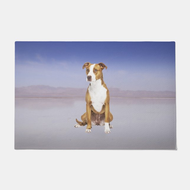Pitbull Dog Sitting On Beach Doormat (Front)