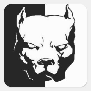 Pitbull Dog Square Sticker