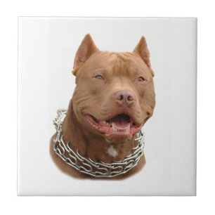 Pitbull dog tile