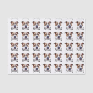 Pitbull dog tissue paper