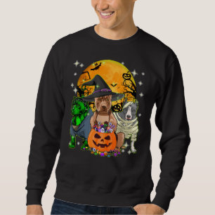 Pitbull Dog Witch Halloween Costumes Pumpkin Mummy Sweatshirt