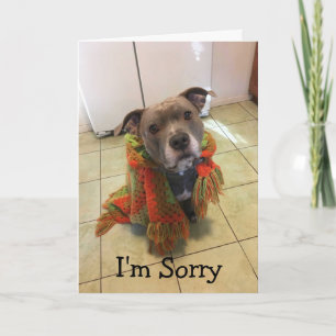 Pitbull Doghouse I'm Sorry Card