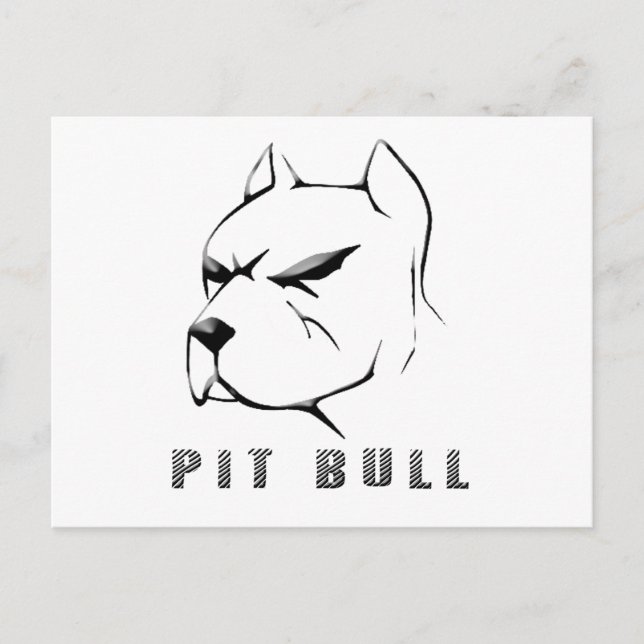 Pitbull draw postcard (Front)