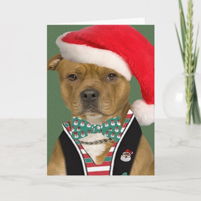 Pitbull Dresses for Santa Holiday Card (Front)