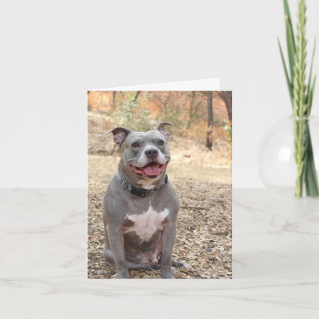 Pitbull Ear-to-Ear Smile Thank You Note Card (Front)
