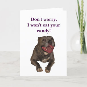 Pitbull Funny Easter Card