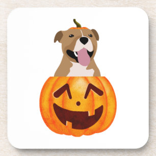 Pitbull Halloween Coaster