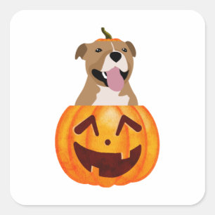 Pitbull Halloween   Square Sticker