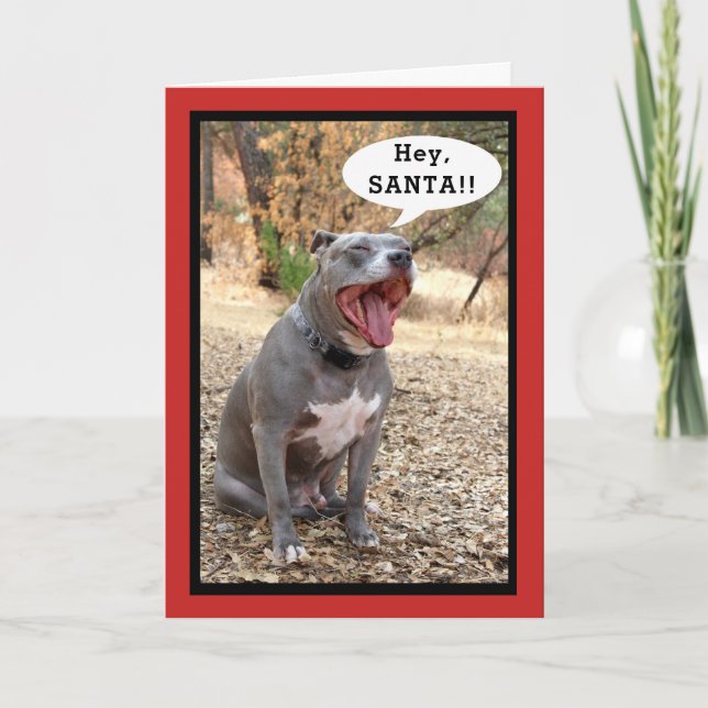 Pitbull Hey Santa Christmas Card (Front)
