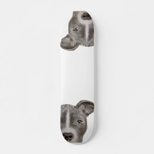 Pitbull Illustration Skateboard by miart
