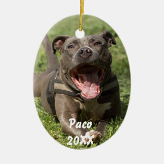 Pitbull In Grass Ceramic Tree Decoration