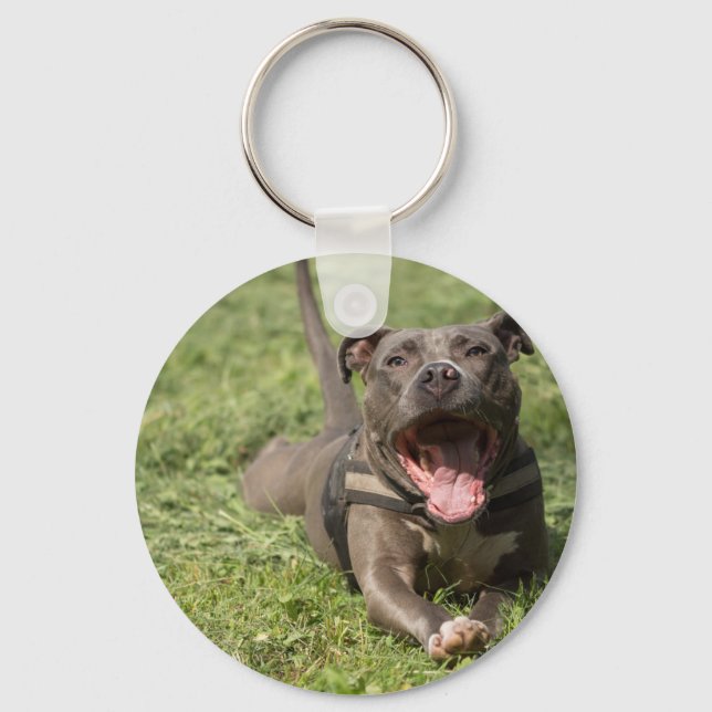 Pitbull In Grass Key Ring (Front)