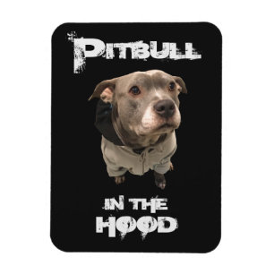 Pitbull in The Hood Magnet