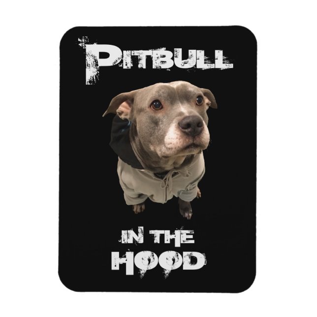 Pitbull in The Hood Magnet (Vertical)