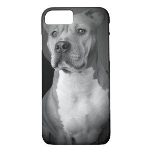 Pitbull iPhone Case