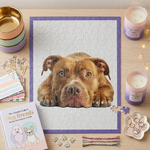 Pitbull Jigsaw Puzzle