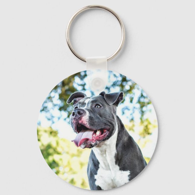 Pitbull Key Ring (Front)
