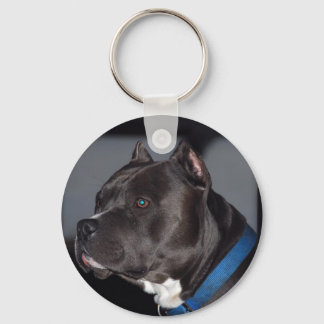 Pitbull Key Ring