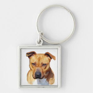 Pitbull keychain