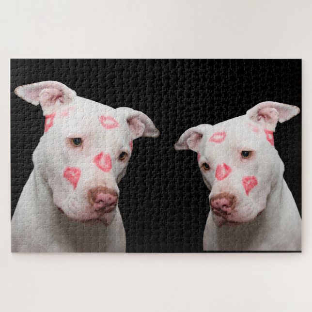 Pitbull Kisses Jigsaw Puzzle (Horizontal)