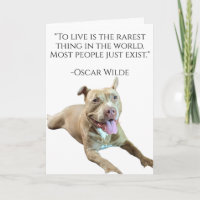 Pitbull Love Birthday