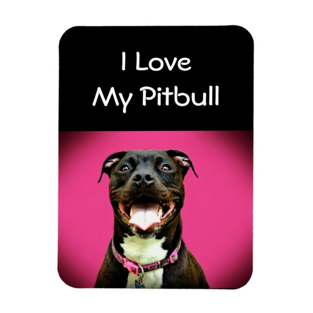 Pitbull Love Magnet (Vertical)