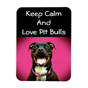 Pitbull Love Photo Magnet