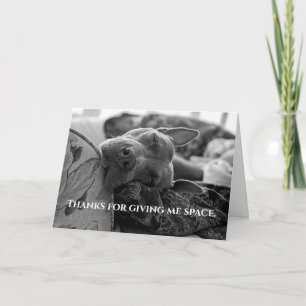 Pitbull Love Thank You Card