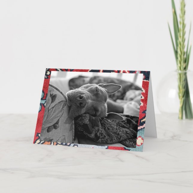 Pitbull Love Thank You Card (Front)