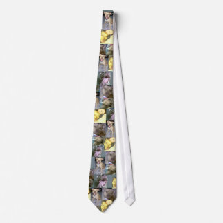 pitbull love tie