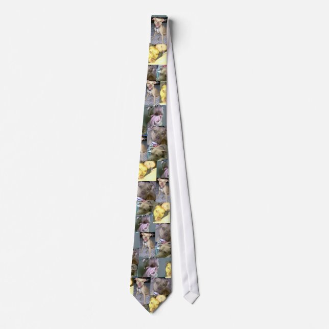 pitbull love tie (Front)