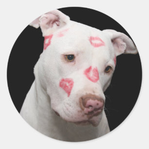 Pitbull Lover Classic Round Sticker