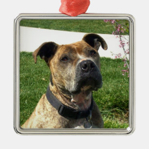 Pitbull Metal Tree Decoration
