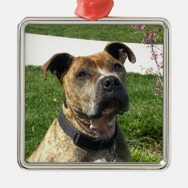 Pitbull Metal Tree Decoration (Front)
