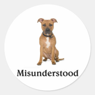 Pitbull - Misunderstood Classic Round Sticker