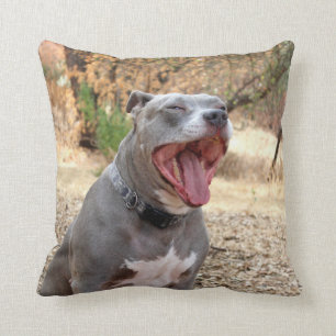 Pitbull Morning Yawn Pillow
