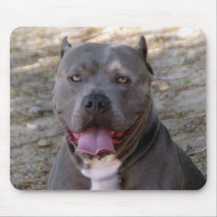 Pitbull Mousepad