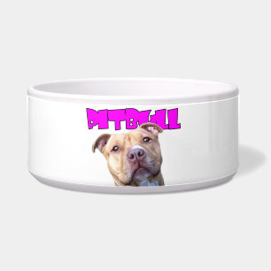 Pitbull Mum Dog