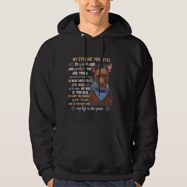 pitbull my eyes your eyes  hoodie (Front)