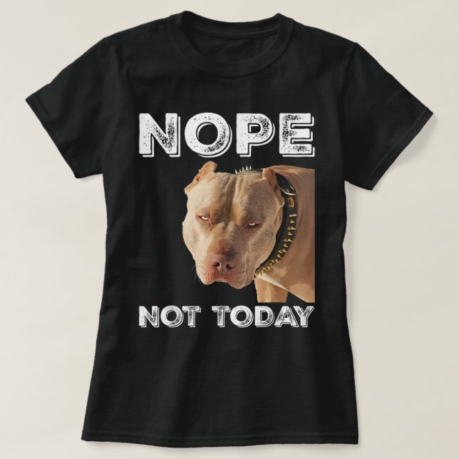 Pitbull - Nope Not Today T-Shirt Pitbull Lover T-S (Design Front)