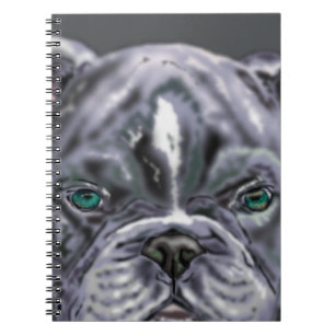 Pitbull - notebook