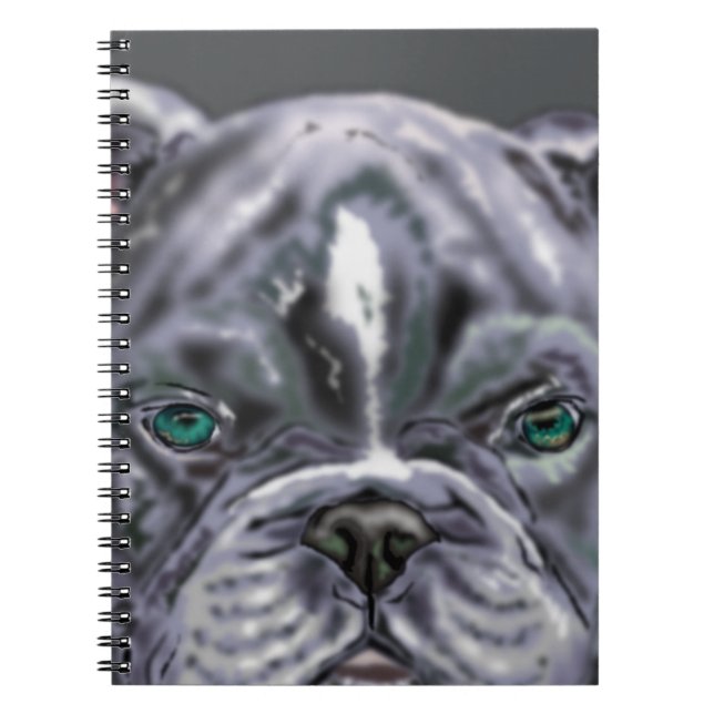Pitbull - notebook (Front)