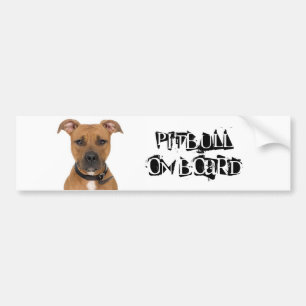 Pitbull on Board Bumper Sticker