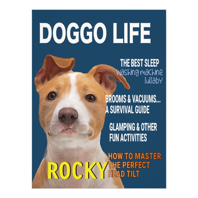 Pitbull Parody Magazine Cover  Photo Print (Front)