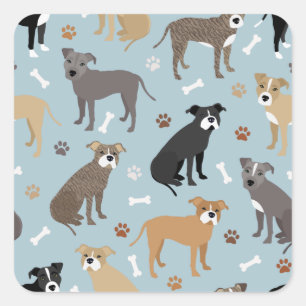 Pitbull Paws and Bones Square Sticker