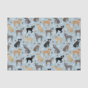 Pitbull Paws and Bones Tissue Paper