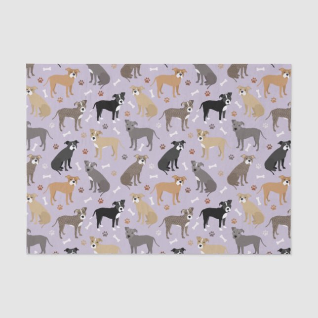 Pitbull Paws and Bones Tissue Paper (Front)