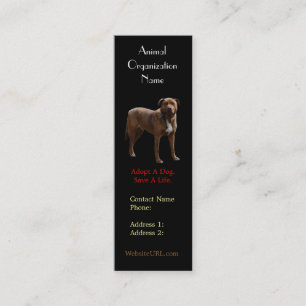 Pitbull Photo Dog Rescue Business Card