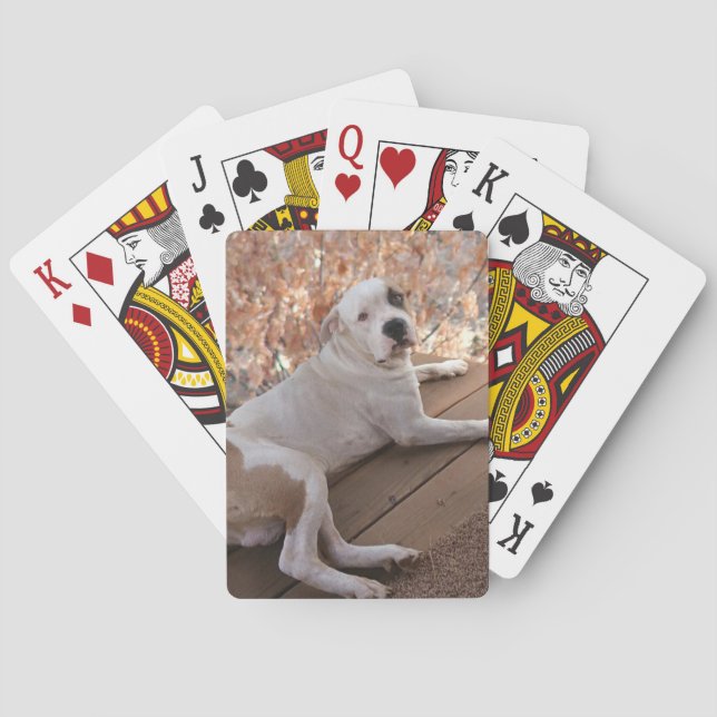 Pitbull Porch Dog Playing Cards (Back)
